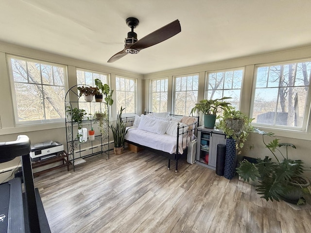 sunroom / solarium with wood finished floors and a baseboard heating unit