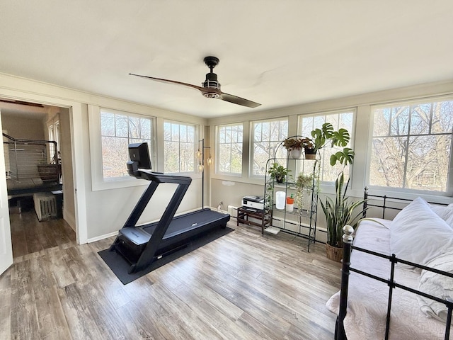 workout room with baseboards, wood finished floors, and a ceiling fan