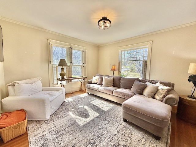 living area featuring wood finished floors, a wealth of natural light, and ornamental molding