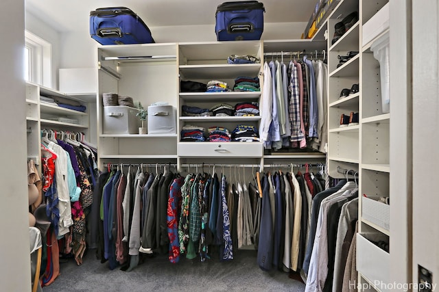 spacious closet featuring carpet flooring