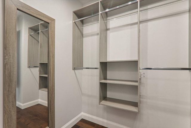 walk in closet with dark wood finished floors