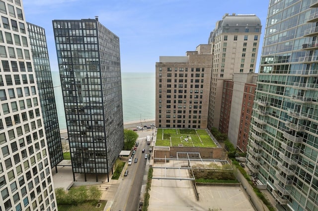 247 E Chestnut St Unit 2303, Chicago, IL 60611 - city view with a nearby body of water