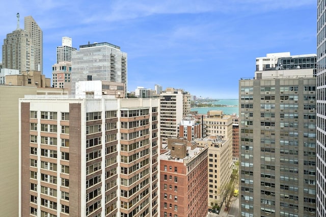 247 E Chestnut St Unit 2303, Chicago, IL 60611 - city view with a large body of water