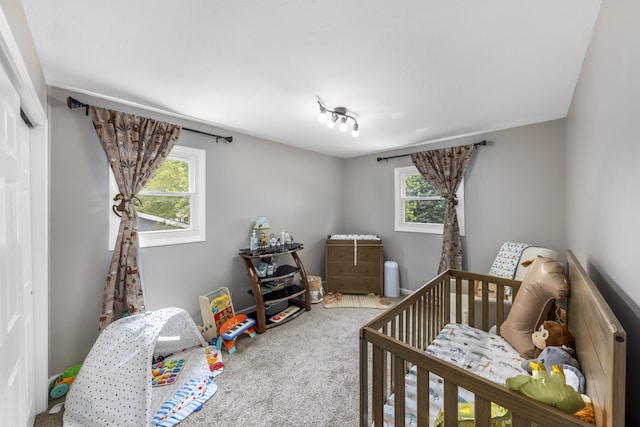 24221 S Edwin Dr, Channahon, IL 60410 - bedroom with carpet, a crib, multiple windows, and a closet