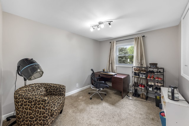 24221 S Edwin Dr, Channahon, IL 60410 - carpeted office space featuring baseboards