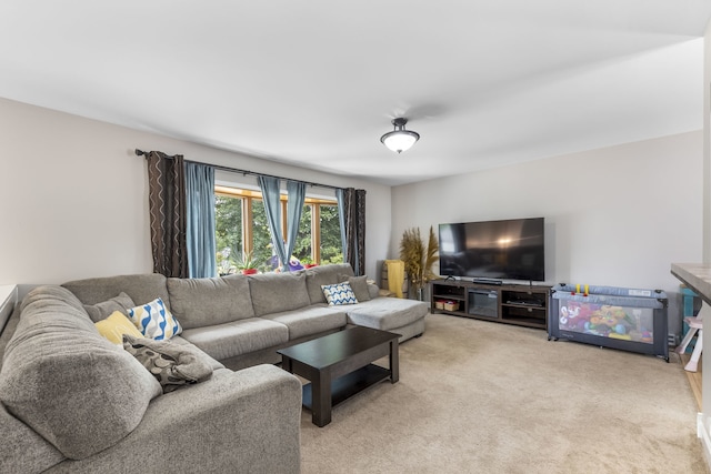 24221 S Edwin Dr, Channahon, IL 60410 - living room featuring light carpet