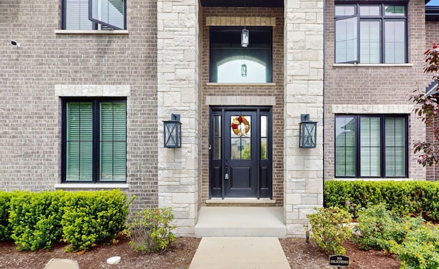 11050 Deer Haven Ln, Orland Park, IL 60467 - doorway to property featuring stone siding and brick siding