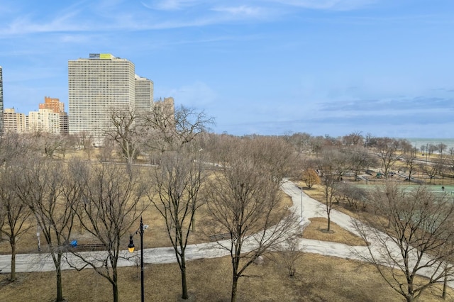5300 S Shore Dr Unit 59, Chicago, IL 60615 - view of surrounding community