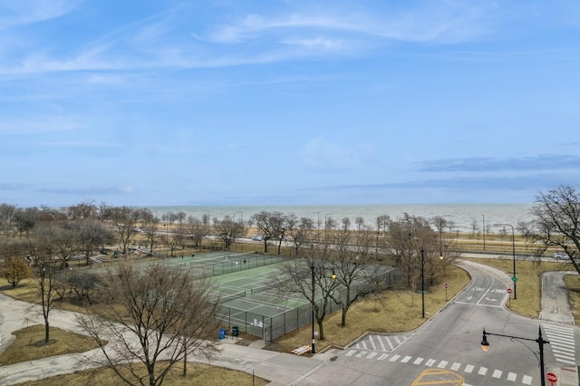 5300 S Shore Dr Unit 59, Chicago, IL 60615 - water view