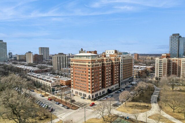 5300 S Shore Dr Unit 59, Chicago, IL 60615 - city view