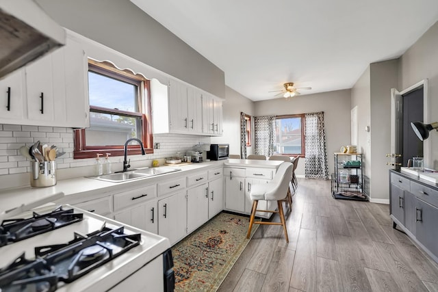 13134 S Burley Ave, Chicago, IL 60633 - kitchen with a sink, white range with gas cooktop, tasteful backsplash, light wood-style flooring, and light countertops