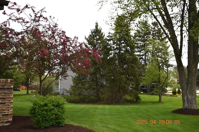 view of property's community with a yard