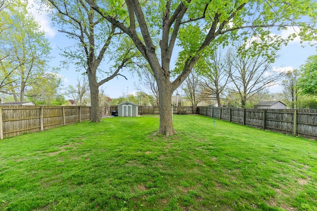 view of yard with a storage shed and an outdoor structure