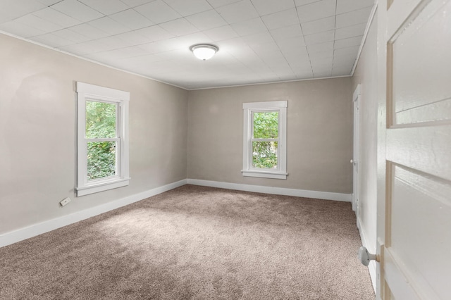 510 S Cottage Grove Ave, Urbana, IL 61802 - carpeted spare room with healthy amount of natural light and crown molding