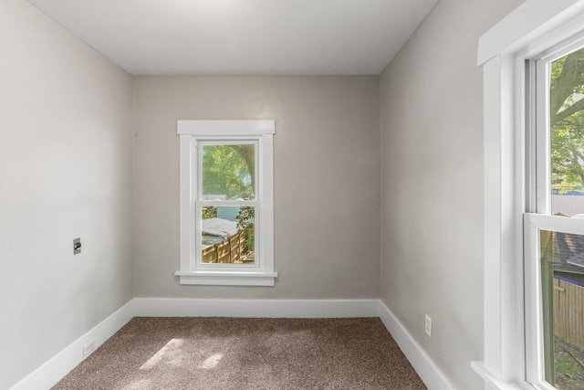 510 S Cottage Grove Ave, Urbana, IL 61802 - unfurnished room with carpet flooring and baseboards