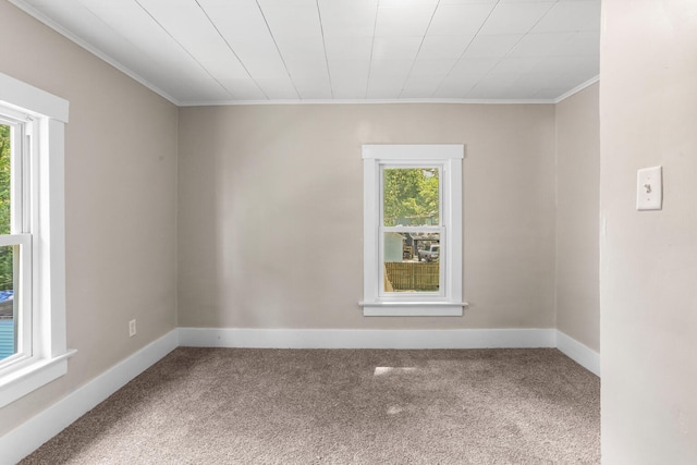 510 S Cottage Grove Ave, Urbana, IL 61802 - carpeted spare room with ornamental molding and baseboards