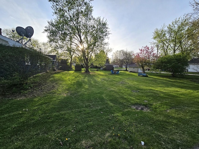 view of yard