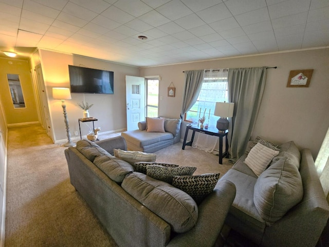 living area with carpet floors