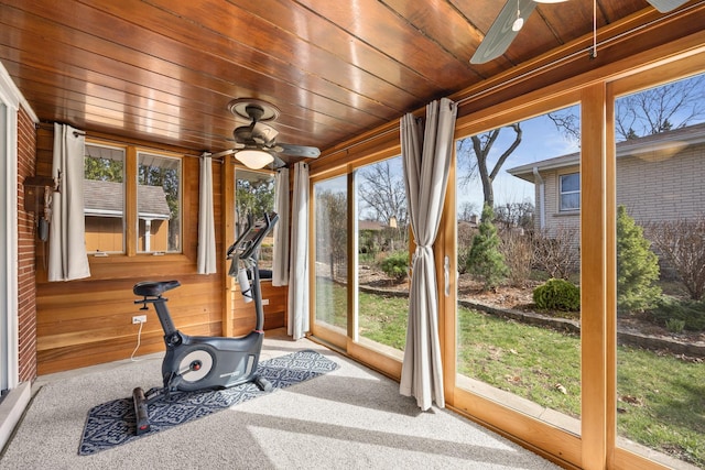 exercise area with a ceiling fan, wooden walls, carpet, and wood ceiling