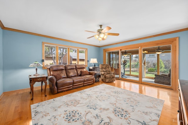 living area featuring crown molding, light wood finished floors, a ceiling fan, and baseboards