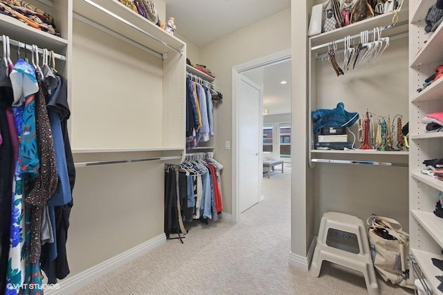 spacious closet featuring carpet
