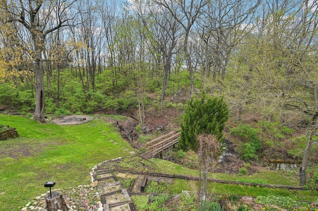 11702 Center Dr, Lemont, IL 60439 - view of yard