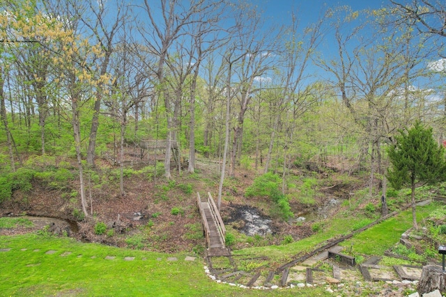 11702 Center Dr, Lemont, IL 60439 - view of landscape
