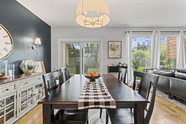 dining area featuring plenty of natural light and light wood-style flooring