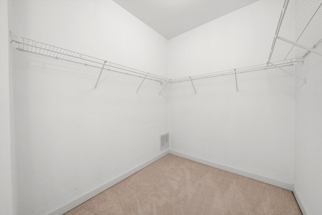 spacious closet featuring visible vents and light colored carpet