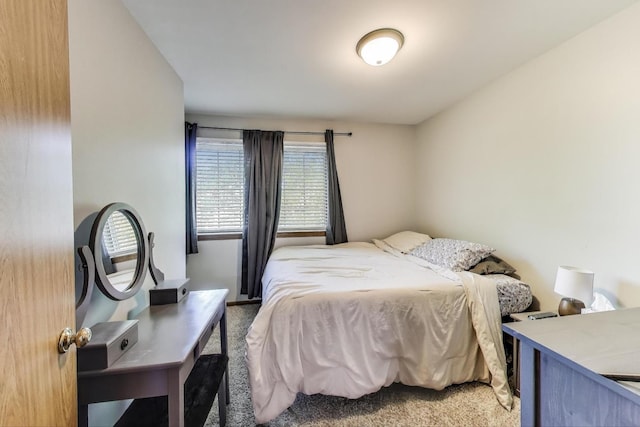 1214 Lone Oak Trl, Aurora, IL 60506 - bedroom featuring carpet floors