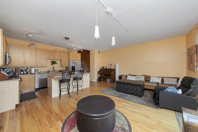 535 N Wood St, Chicago, IL 60622 - living room featuring rail lighting and light wood finished floors