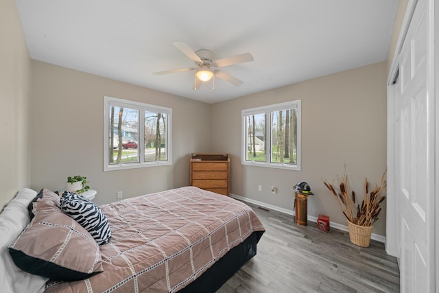 bedroom featuring baseboards, wood finished floors, multiple windows, and a closet