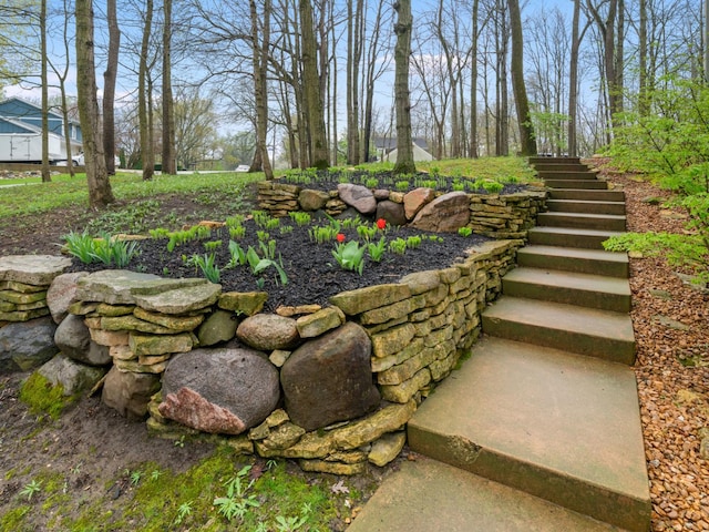 view of yard with stairway