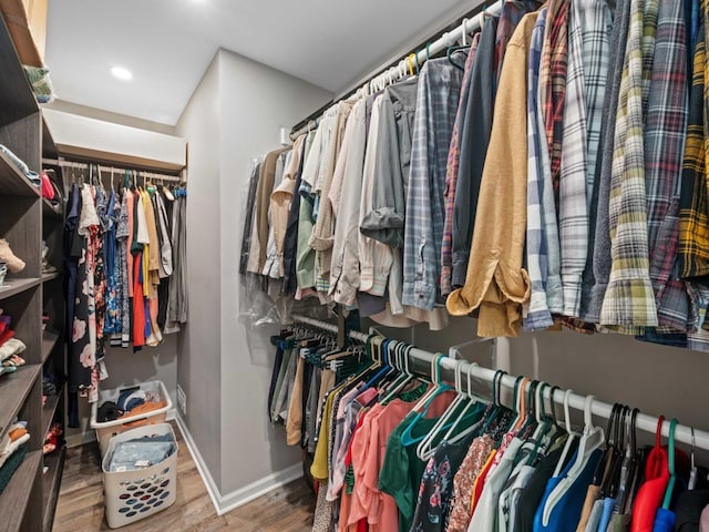 walk in closet featuring wood finished floors