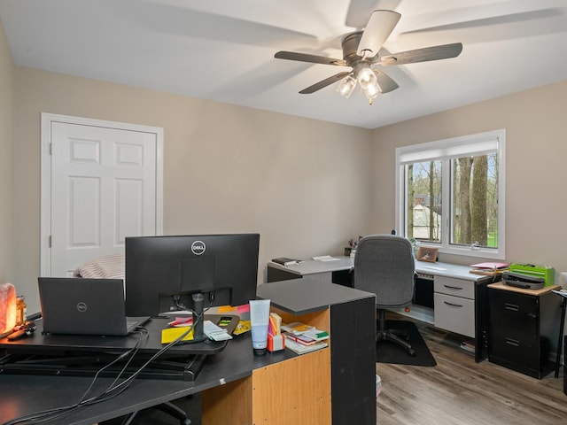 office with ceiling fan and light wood-type flooring