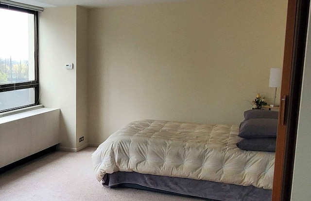 2800 N Lake Shore Dr Unit 613, Chicago, IL 60657 - bedroom featuring multiple windows and carpet flooring