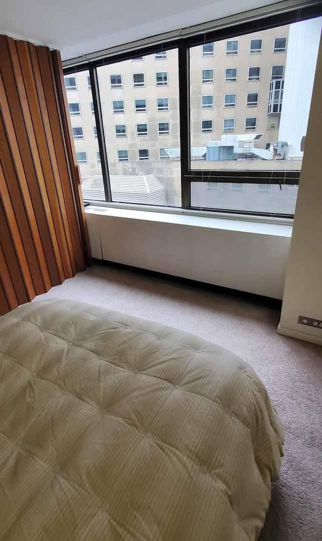bedroom with light carpet