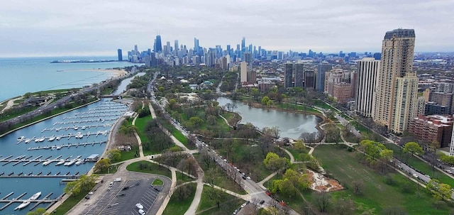 aerial view of property's location featuring a nearby body of water, a view of skyline, and a marina