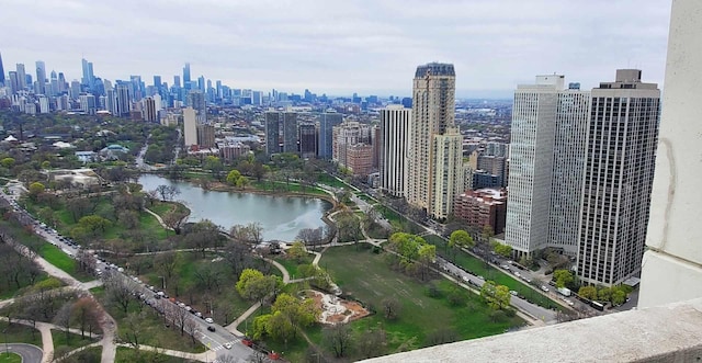 2800 N Lake Shore Dr Unit 613, Chicago, IL 60657 - skyline view with a nearby body of water
