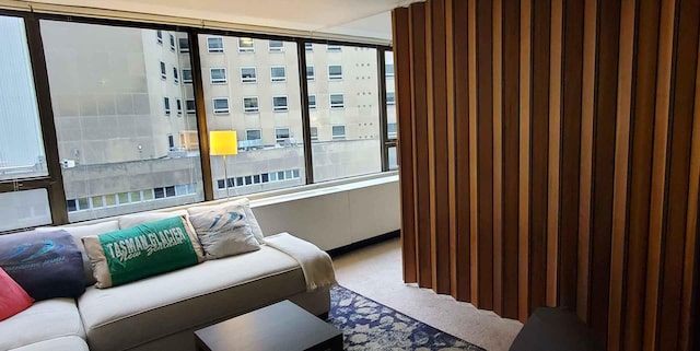 living area featuring carpet floors