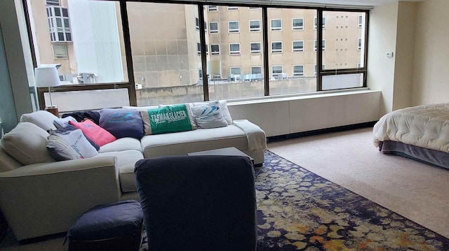 bedroom featuring carpet