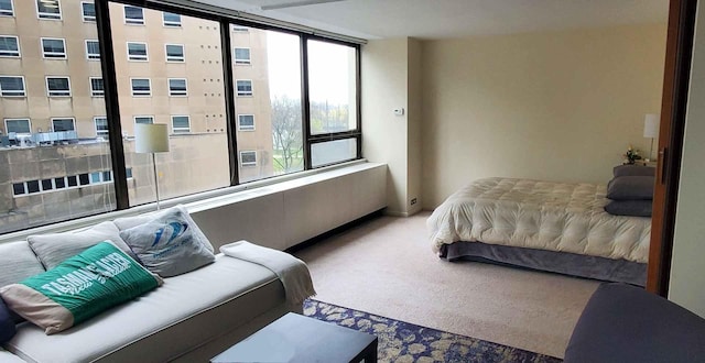 bedroom with carpet floors