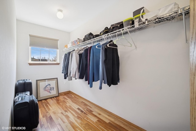 walk in closet with wood finished floors
