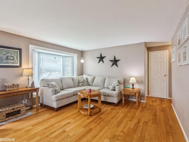 living room with baseboards and light wood finished floors