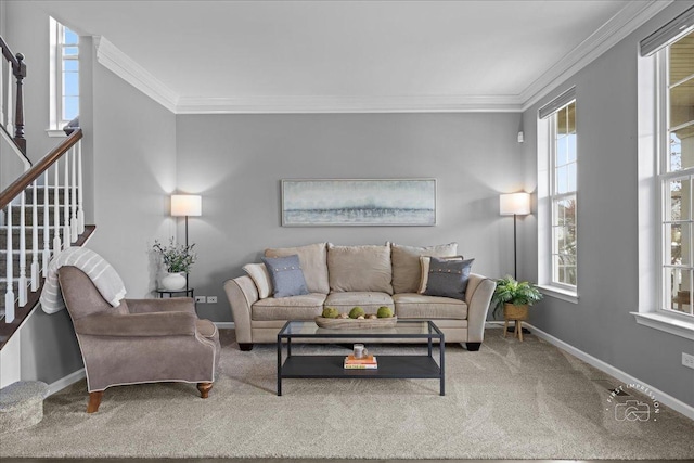 carpeted living area featuring crown molding and a healthy amount of sunlight