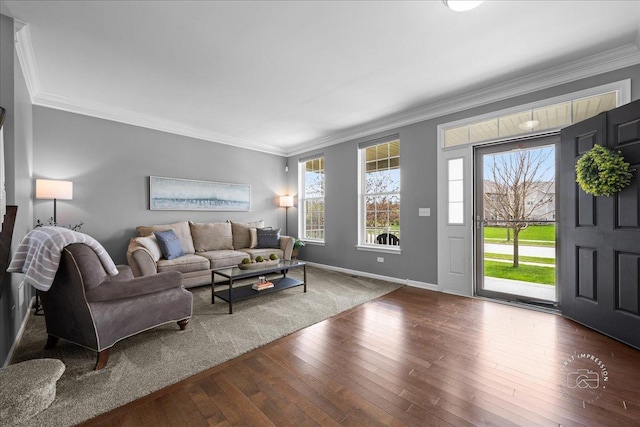 living area featuring baseboards, ornamental molding, and hardwood / wood-style flooring