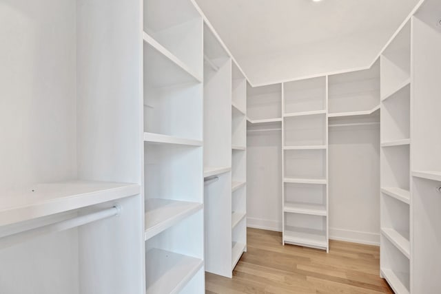 spacious closet featuring wood finished floors