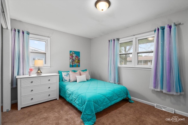 145 W Eisenhower St, Waterman, IL 60556 - bedroom with baseboards, visible vents, and carpet