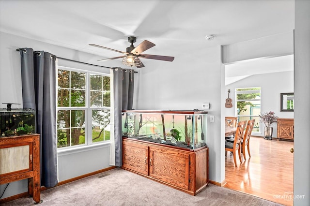 1118 Golden Oaks Pkwy, Aurora, IL 60506 - doorway with ceiling fan, baseboards, and carpet floors