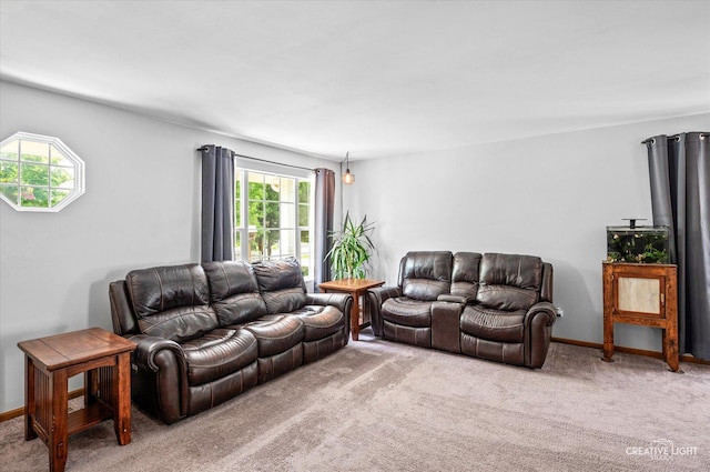 1118 Golden Oaks Pkwy, Aurora, IL 60506 - living room featuring carpet and baseboards